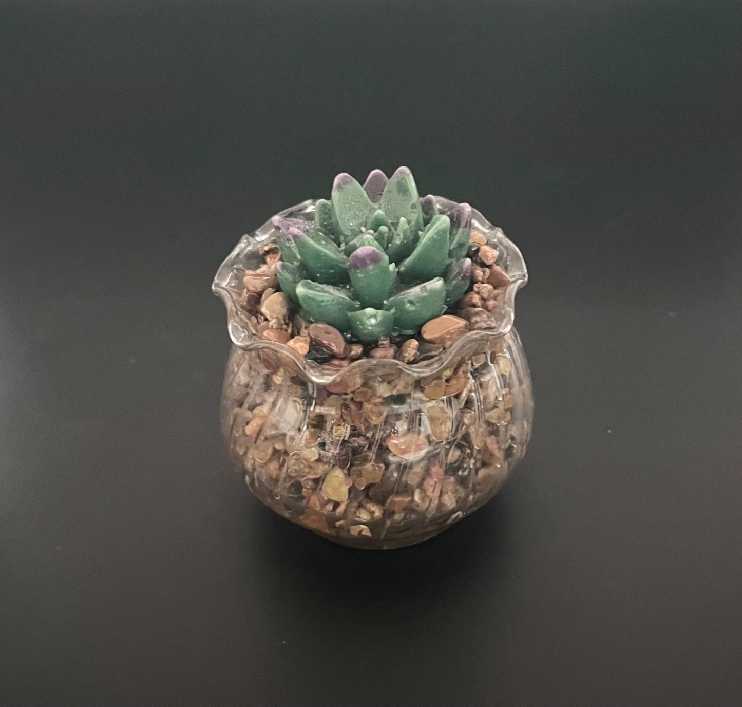 Cactus Making Class - Saturday, April 18th 11:00-1:30PM Waxahachie, TX.