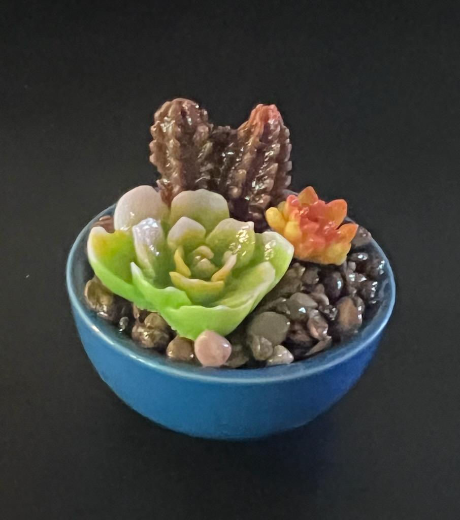Cactus Making Class - Saturday, April 18th 11:00-1:30PM Waxahachie, TX.