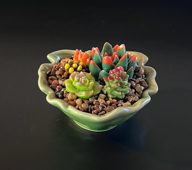 $1 succulents near me Leaf Succulents – A Glass Act