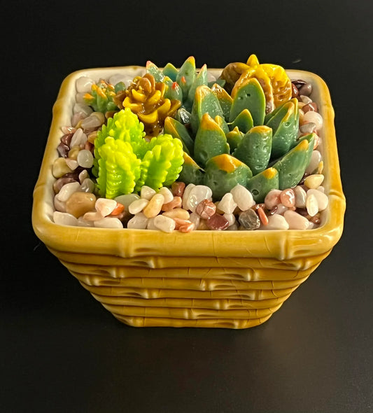 Cactus Making Class   -  Saturday, June 7th 11:00-1:30PM   Waxahachie, TX.