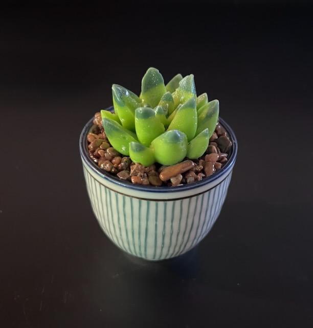 Cactus Making Class   -  Saturday, June 7th 11:00-1:30PM   Waxahachie, TX.