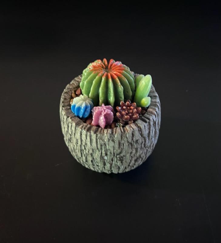 Cactus Making Class   -  Saturday, June 7th 11:00-1:30PM   Waxahachie, TX.