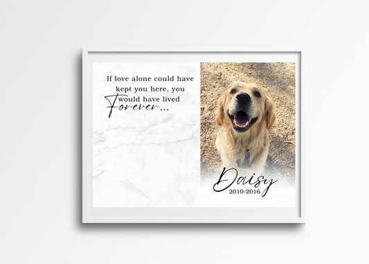 Personalized memorial photo frame with picture